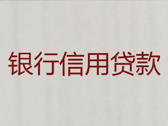永城市抵押贷款公司-银行信用贷款